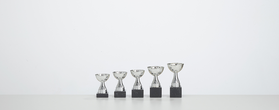 Pokal Oslo - Silber