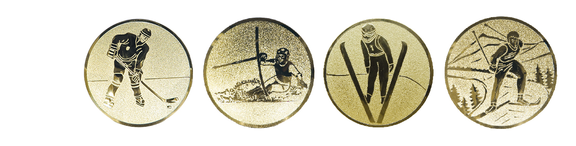 Auflagen Wintersport Ski